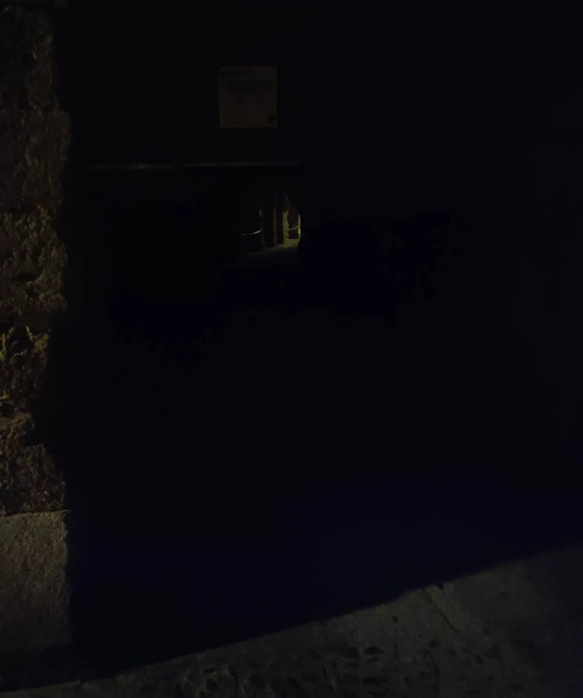 Foto 2 - Denuncian el abandono e inseguridad de la Puerta de La Colada