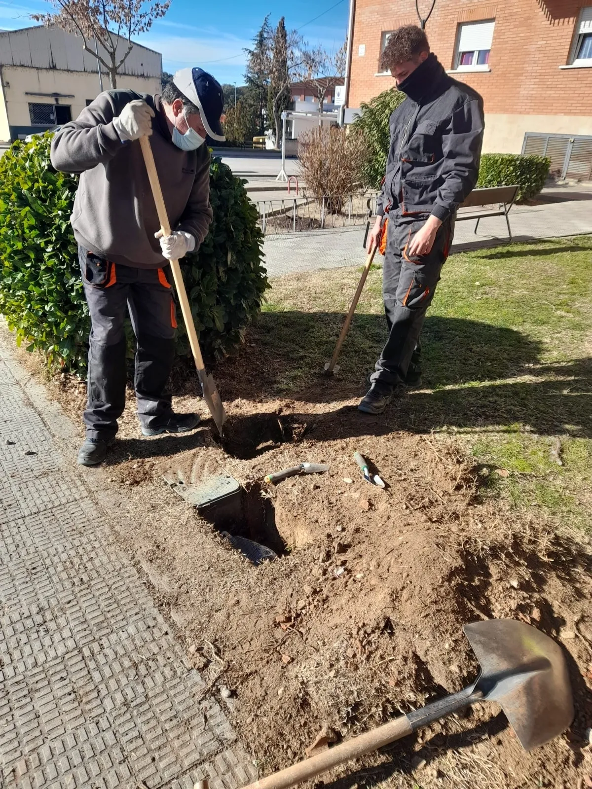 Foto 2 - Contin&uacute;an los trabajos te&oacute;rico pr&aacute;cticos del alumnado del AFE Restaura Verde y AFE Alba Social