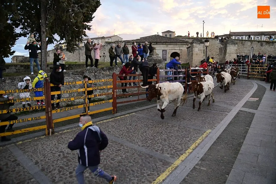 Foto 7 - Tranquila y limpia carrera inicial de los bueyes de Luis Cebri&aacute;n