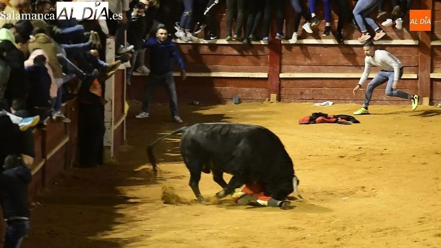 Foto 4 - Gran ambiente en una capea nocturna con ciertos momentos de peligro
