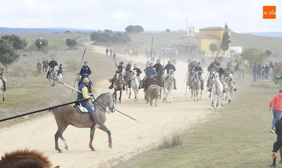 Foto 10 - Cinco toros y ning&uacute;n buey alcanzan la Plaza Mayor en un complicado encierro a caballo