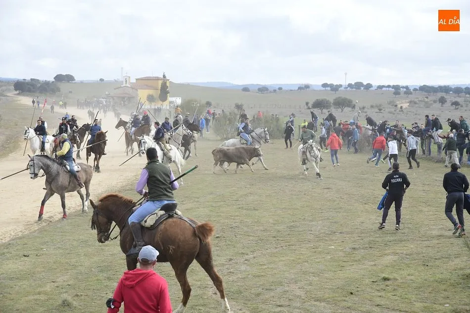 Foto 8 - Cinco toros y ning&uacute;n buey alcanzan la Plaza Mayor en un complicado encierro a caballo