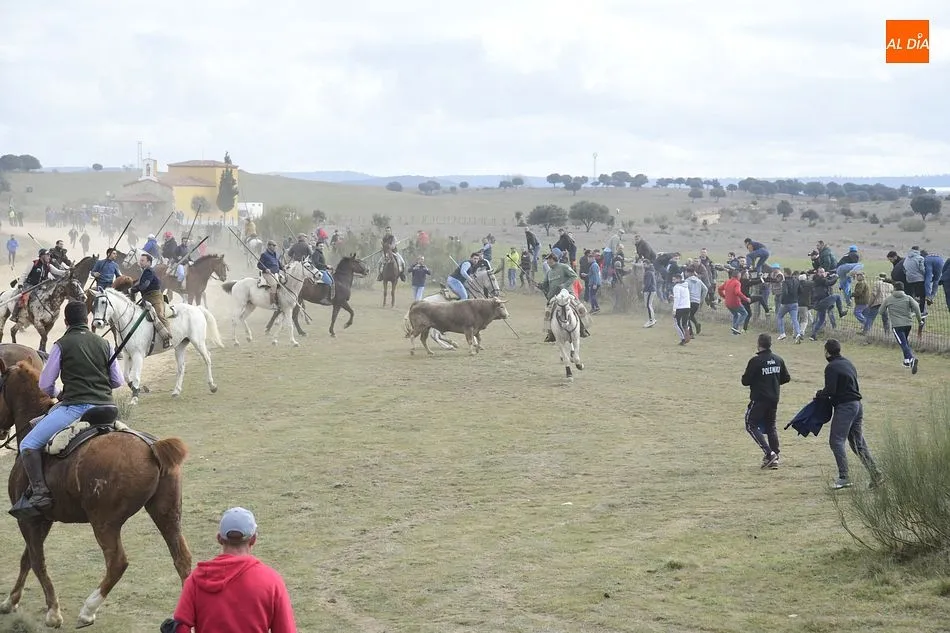 Foto 7 - Cinco toros y ning&uacute;n buey alcanzan la Plaza Mayor en un complicado encierro a caballo