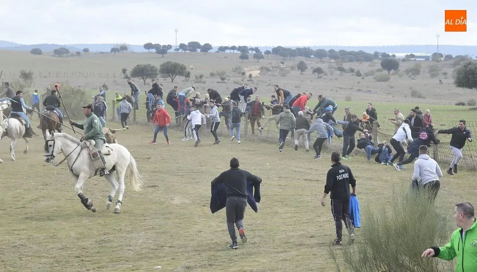 Foto 6 - Cinco toros y ning&uacute;n buey alcanzan la Plaza Mayor en un complicado encierro a caballo