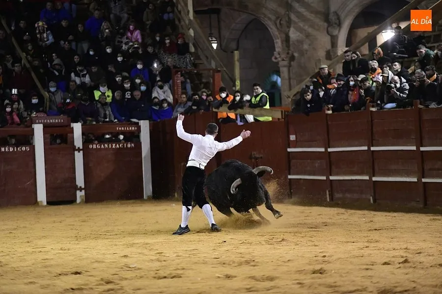 Foto 6 - Manuel G&oacute;mez se lleva el Concurso carnavalero de recortes