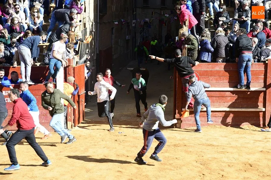 Foto 11 - Los astados de los Hermanos S&aacute;nchez Herrero protagonizan un intenso encierro