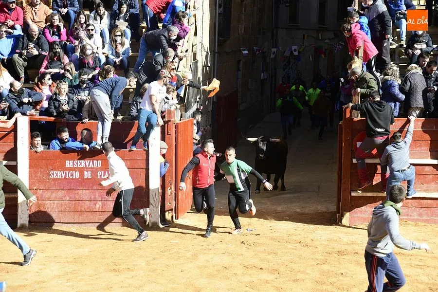 Foto 10 - Los astados de los Hermanos S&aacute;nchez Herrero protagonizan un intenso encierro