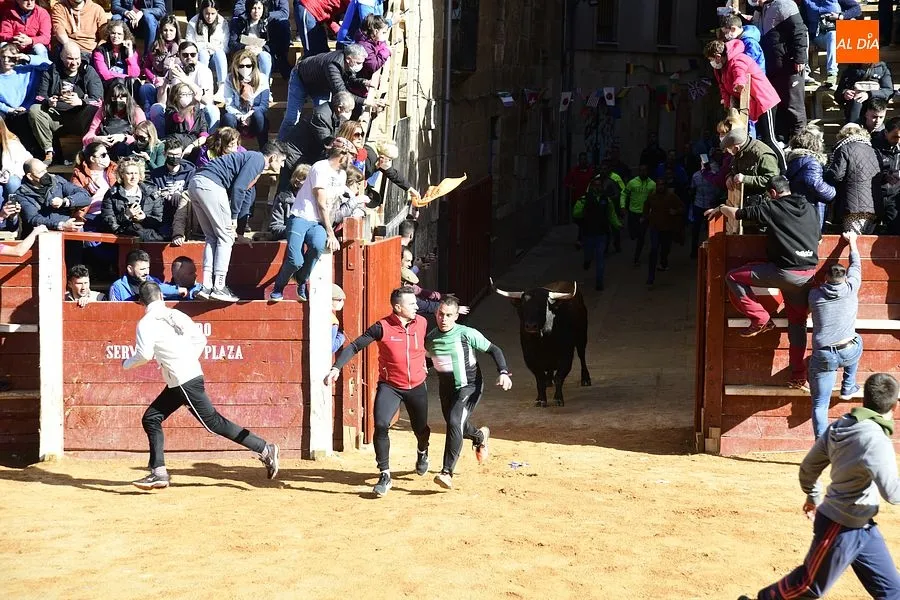 Foto 9 - Los astados de los Hermanos S&aacute;nchez Herrero protagonizan un intenso encierro