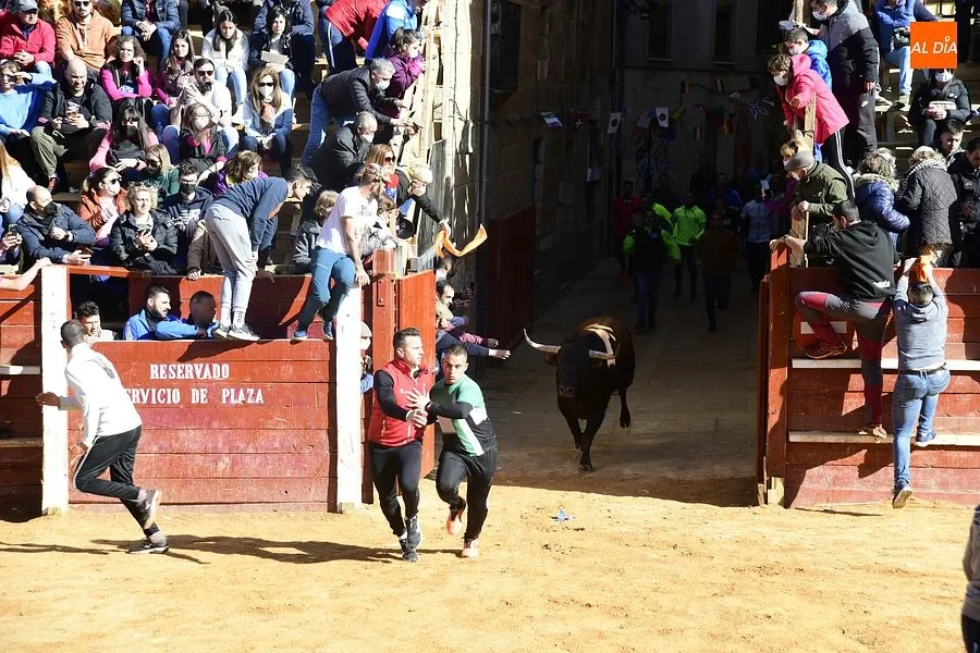 Foto 8 - Los astados de los Hermanos S&aacute;nchez Herrero protagonizan un intenso encierro