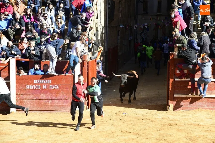 Foto 7 - Los astados de los Hermanos S&aacute;nchez Herrero protagonizan un intenso encierro