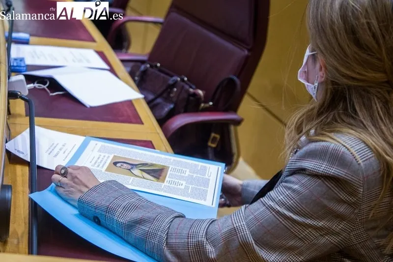 Esther del Brío (PP) y María Jesús Montero (PSOE) debaten en el Senado. Fotos: DAVID CORRAL