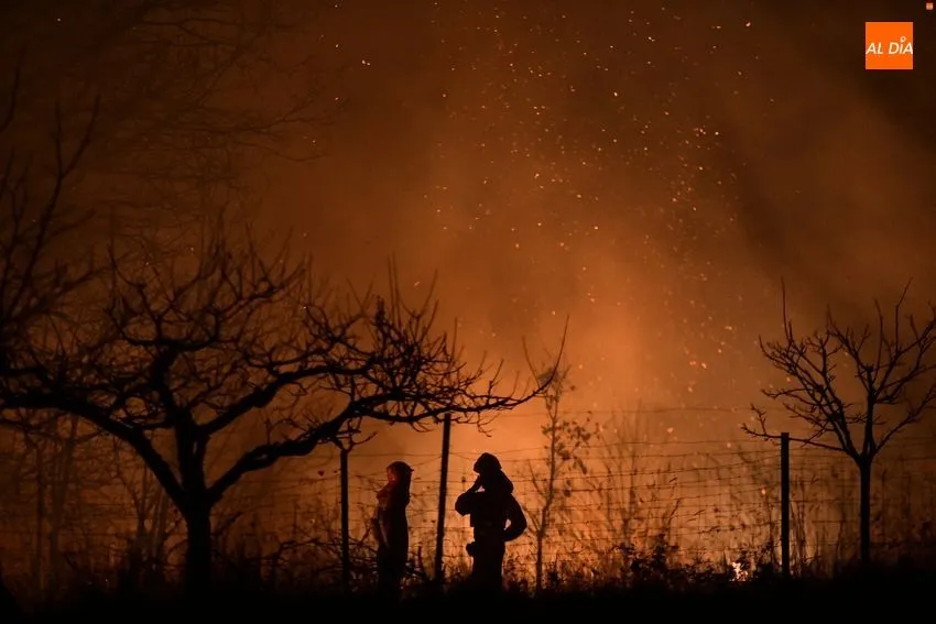 Foto 11 - Declarado un incendio forestal en el entorno de Monsagro que amenaza varias viviendas