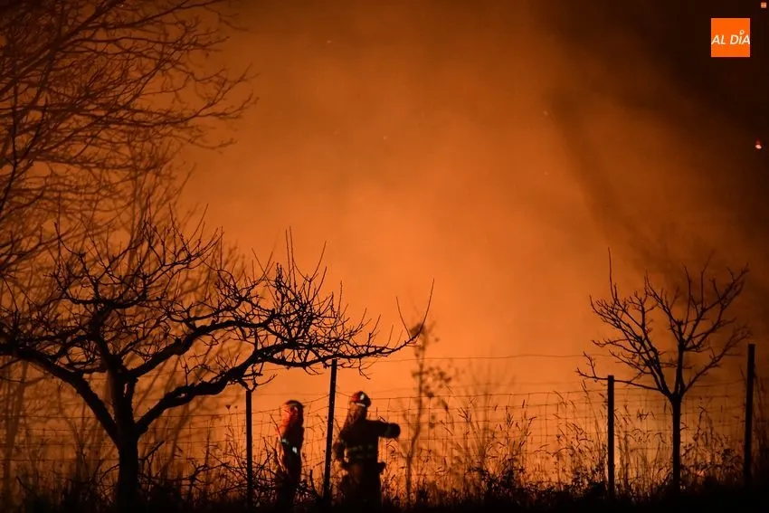 Foto 10 - Declarado un incendio forestal en el entorno de Monsagro que amenaza varias viviendas