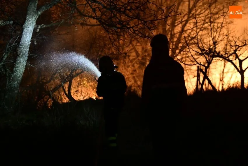 Foto 9 - Declarado un incendio forestal en el entorno de Monsagro que amenaza varias viviendas