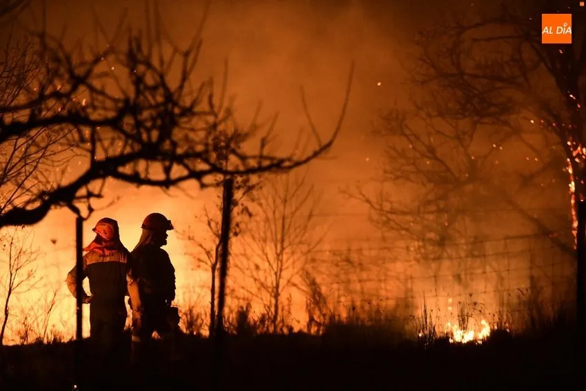 Foto 8 - Declarado un incendio forestal en el entorno de Monsagro que amenaza varias viviendas