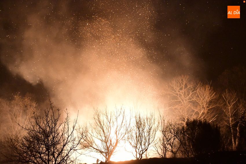 Foto 3 - Declarado un incendio forestal en el entorno de Monsagro que amenaza varias viviendas