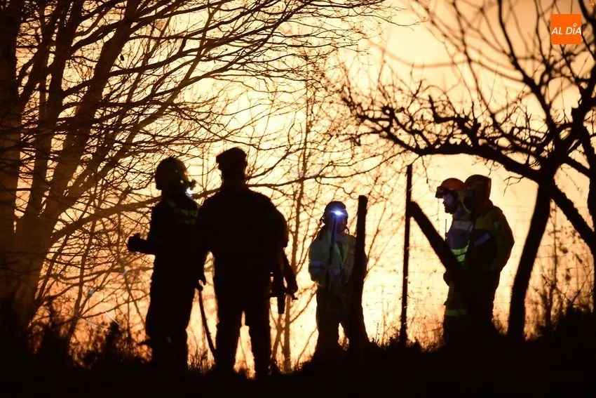 Foto 2 - Declarado un incendio forestal en el entorno de Monsagro que amenaza varias viviendas