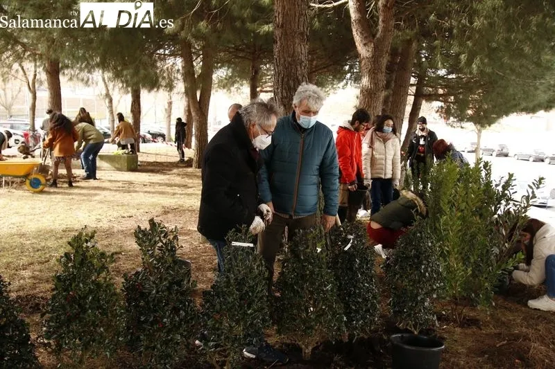 Plantación de diversas especies vegetales en lo que será el 'Aula Ecológica' de la USAL