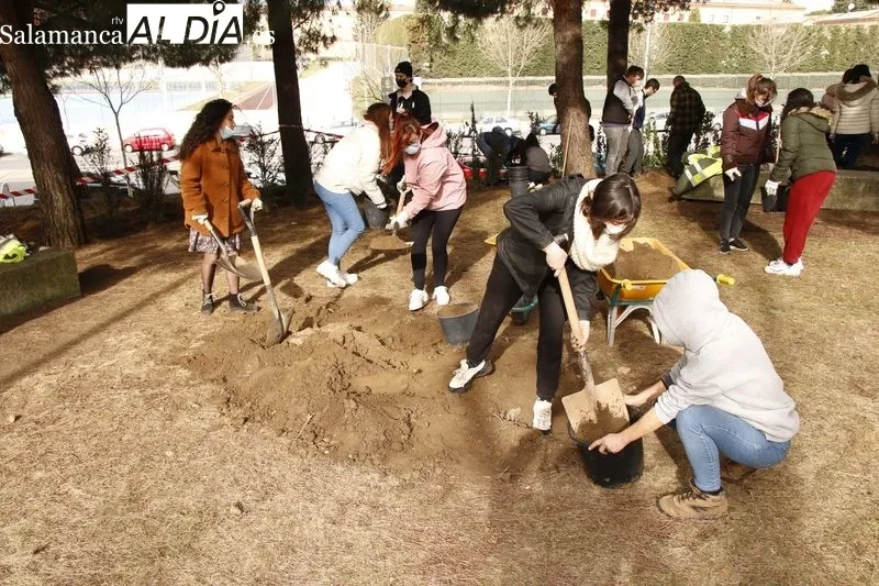 Plantación de diversas especies vegetales en lo que será el 'Aula Ecológica' de la USAL