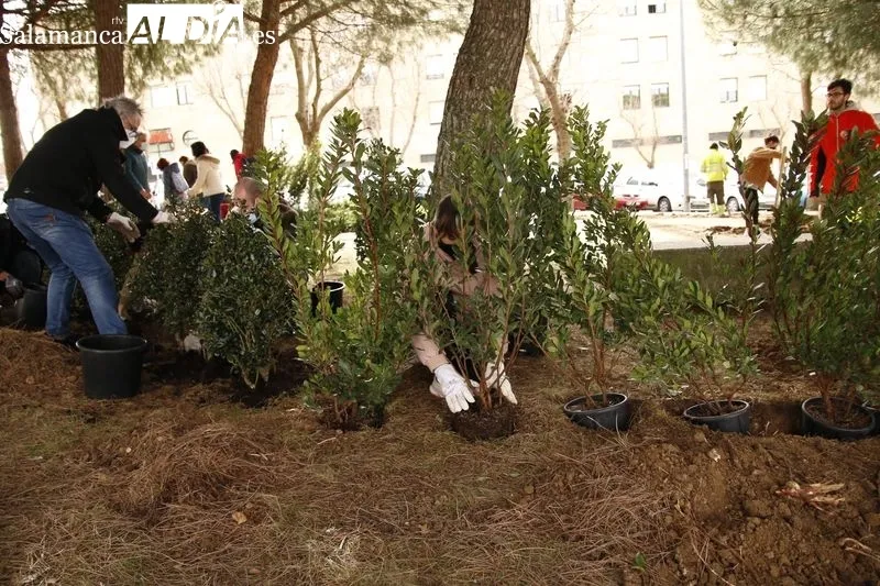 Plantación de diversas especies vegetales en lo que será el 'Aula Ecológica' de la USAL