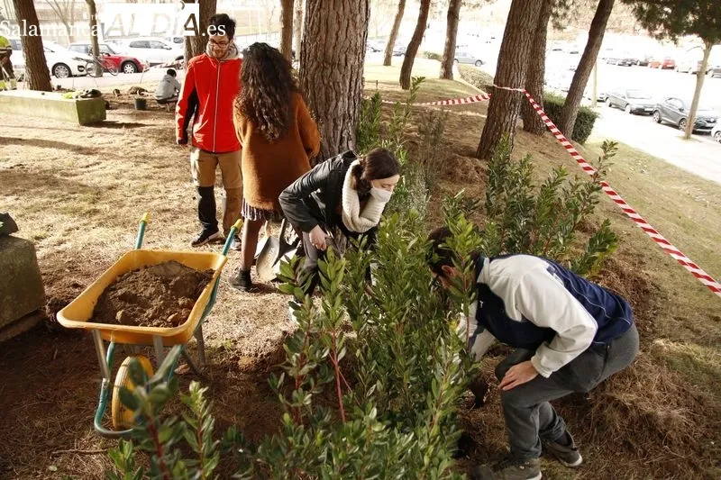 Plantación de diversas especies vegetales en lo que será el 'Aula Ecológica' de la USAL