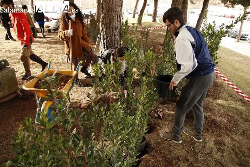 Plantación de diversas especies vegetales en lo que será el 'Aula Ecológica' de la USAL