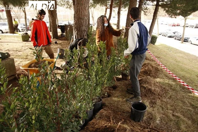 Plantación de diversas especies vegetales en lo que será el 'Aula Ecológica' de la USAL