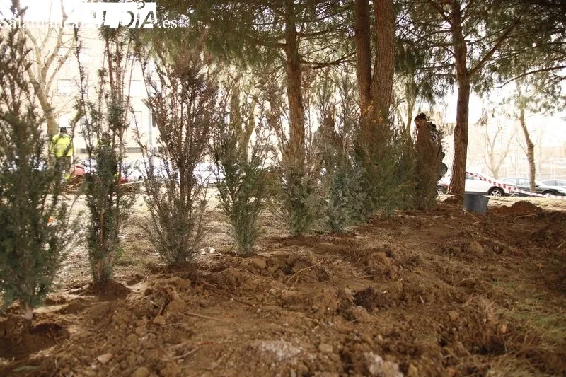 Plantación de diversas especies vegetales en lo que será el 'Aula Ecológica' de la USAL
