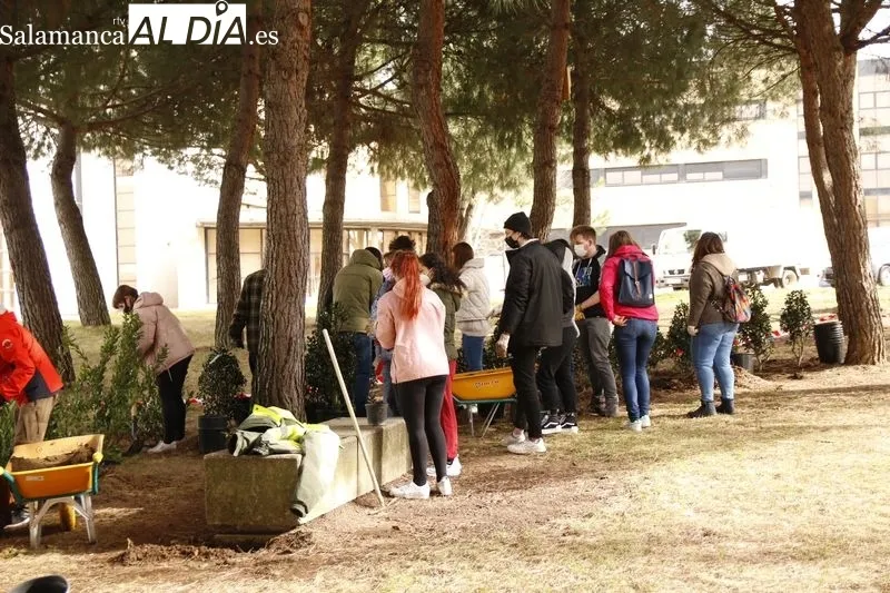 Plantación de diversas especies vegetales en lo que será el 'Aula Ecológica' de la USAL