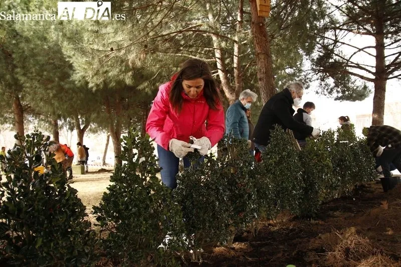 Plantación de diversas especies vegetales en lo que será el 'Aula Ecológica' de la USAL