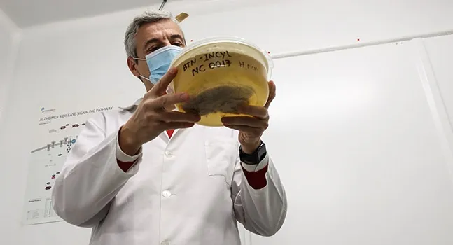 Banco de Tejidos Neurológicos, radicado en el Instituto de Neurociencias de Castilla y León - USAL