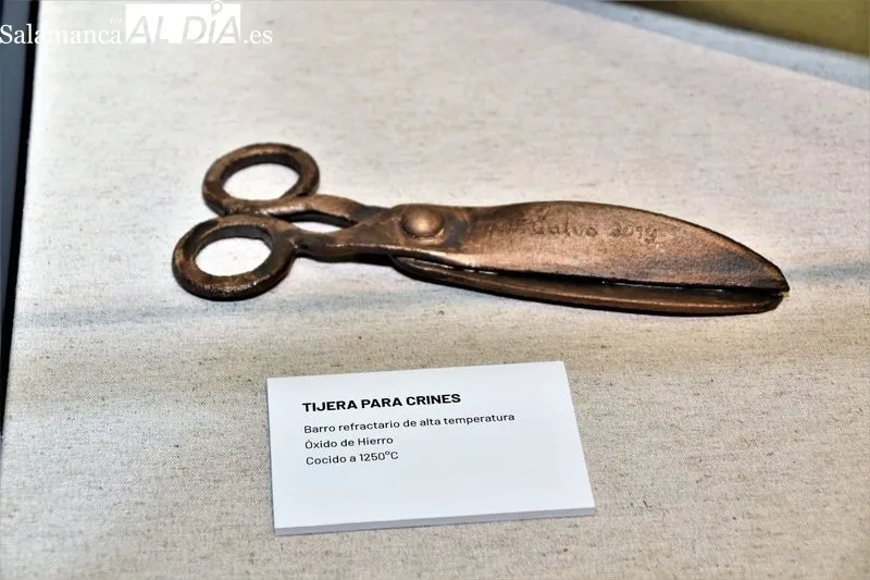 Exposición del artista Manuel Calvo en el Ayuntamiento de Villares de la Reina