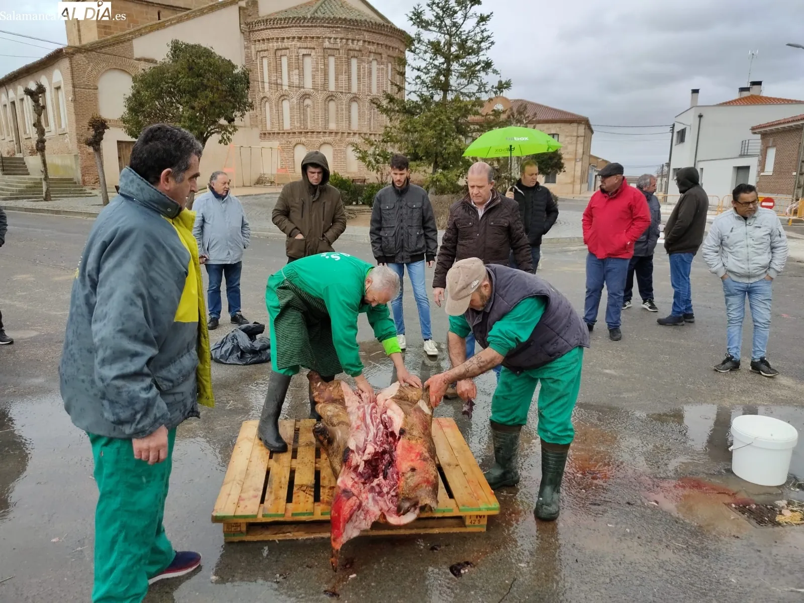 Villar de Gallimazo ha celebrado su 10ª Matanza Típica 