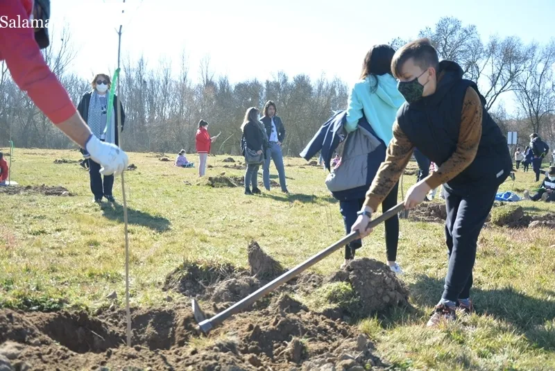 Escolares de Santa Marta de Tormes en la repoblación forestal de la Isla del Soto. Foto de Vanesa Martins