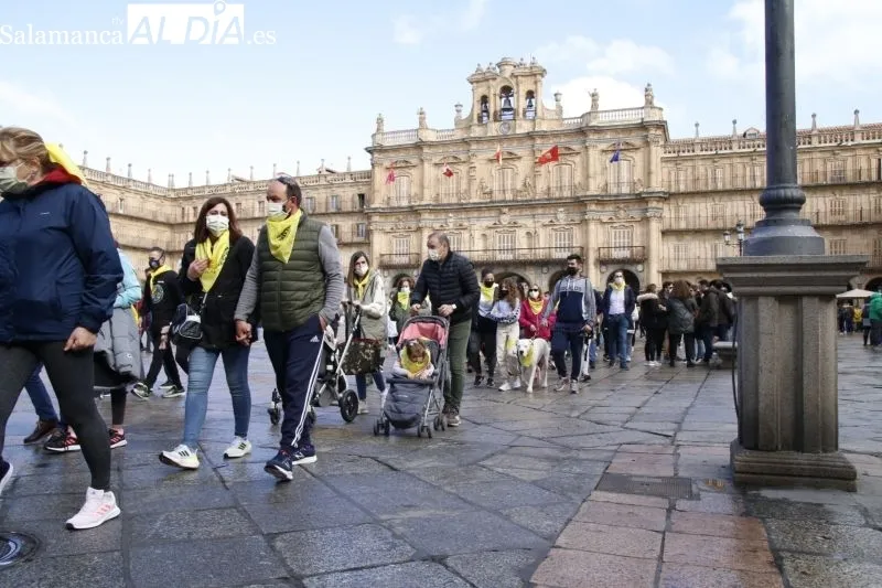 Colorida marcha solidaria en Salamanca a favor de Aerscyl - Fotos: David Sañudo