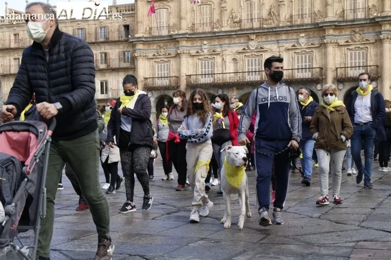 Colorida marcha solidaria en Salamanca a favor de Aerscyl - Fotos: David Sañudo