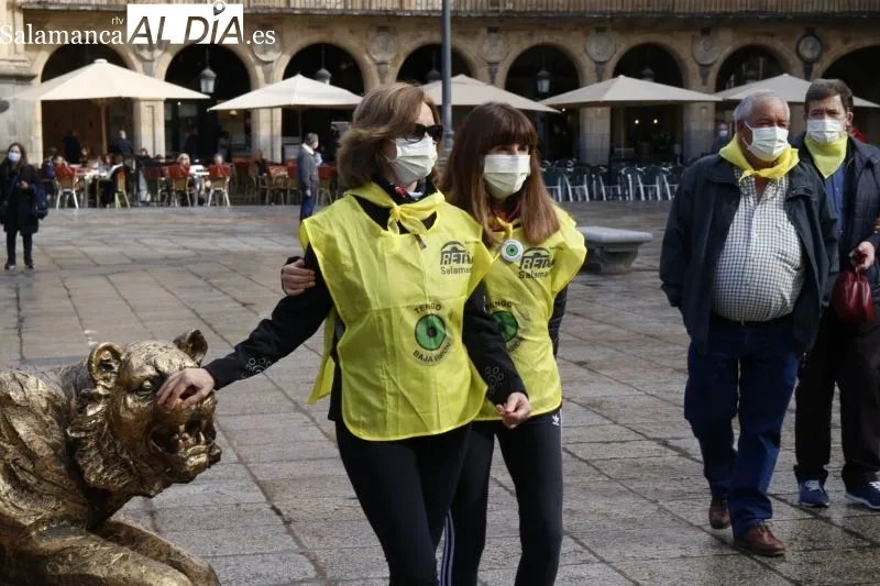 Colorida marcha solidaria en Salamanca a favor de Aerscyl - Fotos: David Sañudo