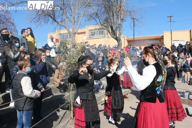 Soleada matanza institucional en Guijuelo para comenzar las jornadas de sacrificio - Fotos: Kiko Robles