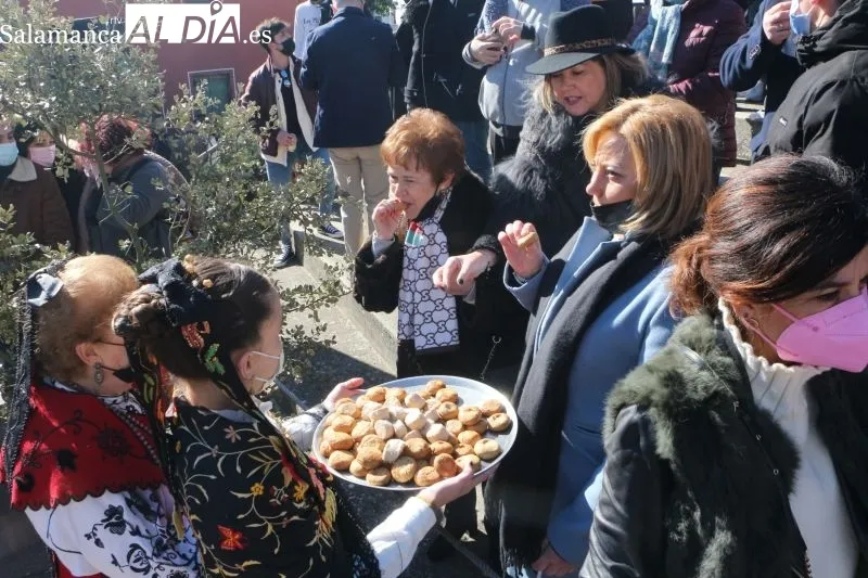 Soleada matanza institucional en Guijuelo para comenzar las jornadas de sacrificio - Fotos: Kiko Robles
