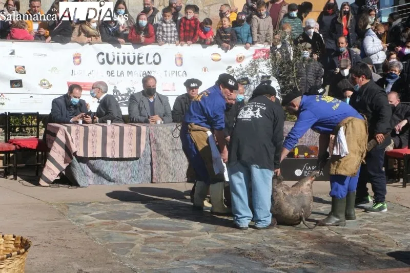 Soleada matanza institucional en Guijuelo para comenzar las jornadas de sacrificio - Fotos: Kiko Robles