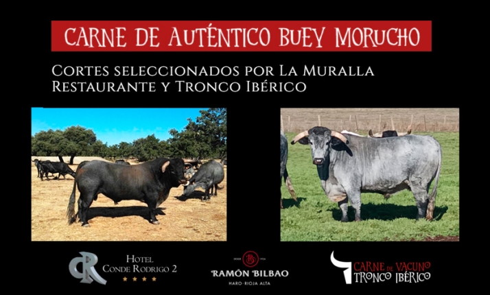 La carne de Buey Morucho protagonista durante el mes de febrero en Ciudad Rodrigo