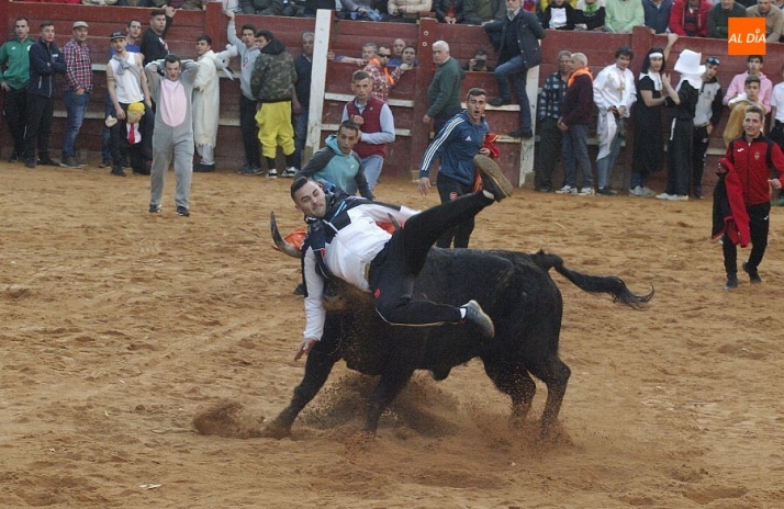 Adjudicado a Multicía los seguros del Carnaval por algo más de 25.000 euros