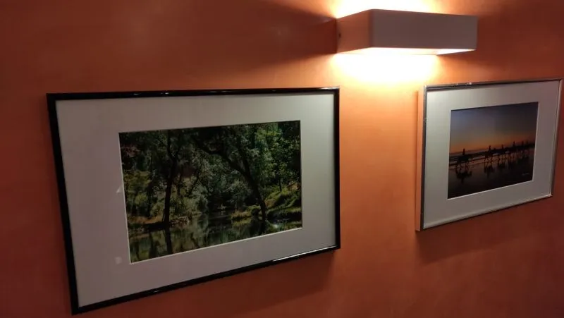 Foto 2 - Maite Vaquero expone sus fotograf&iacute;as en Guijuelo