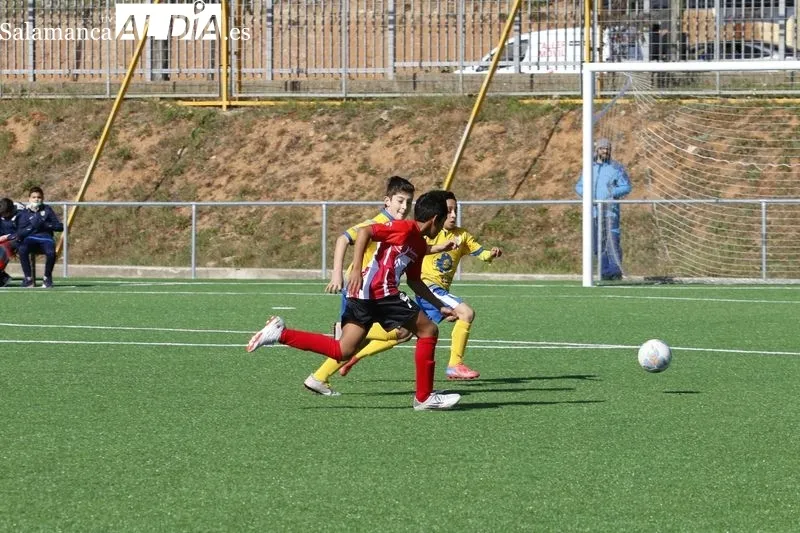 Galería de imágenes del Pizarrales - Monterrey de Primera Alevín / Fotos: David Sañudo
