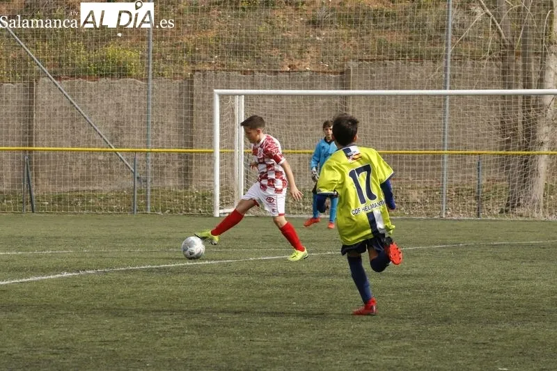 Galería de imágenes del Helmático - Guijuelo de Primera Alevín / Fotos: David Sañudo