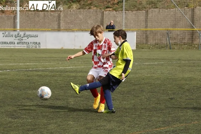 Galería de imágenes del Helmático - Guijuelo de Primera Alevín / Fotos: David Sañudo