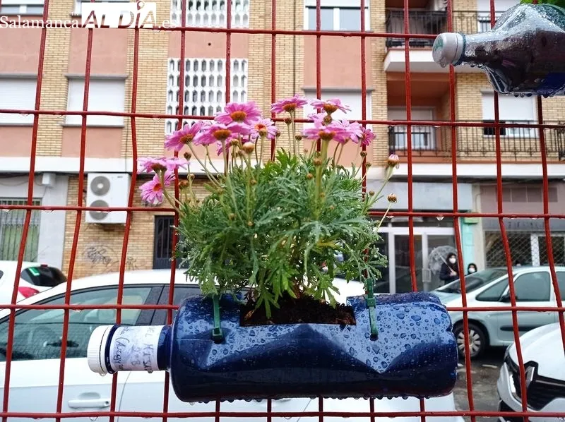 Jardineras caseras, diseñadas por los alumnos del CEIP Padre Manjón, en el patio de este colegio