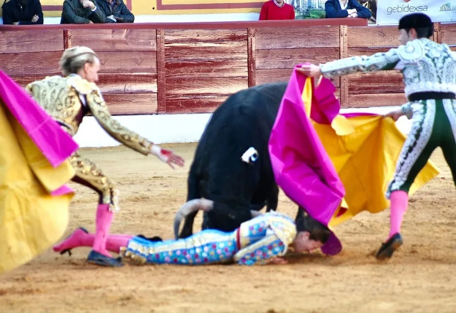 Foto 7 - Raza de Raquel Mart&iacute;n en un debut de arrojo y triunfo