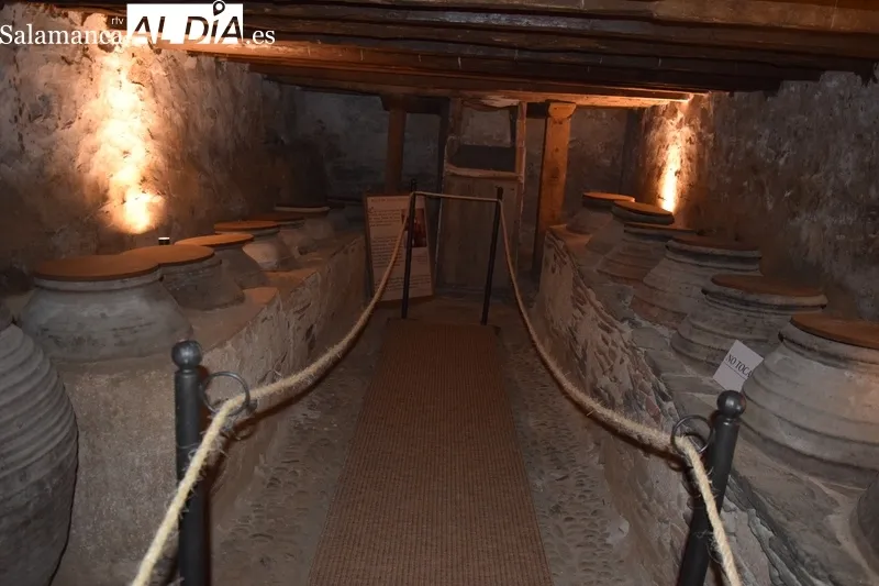 Foto 2 - El diputado de Cultura califica la exposici&oacute;n sobre Santa Teresa de "Edades del Hombre 2.0"