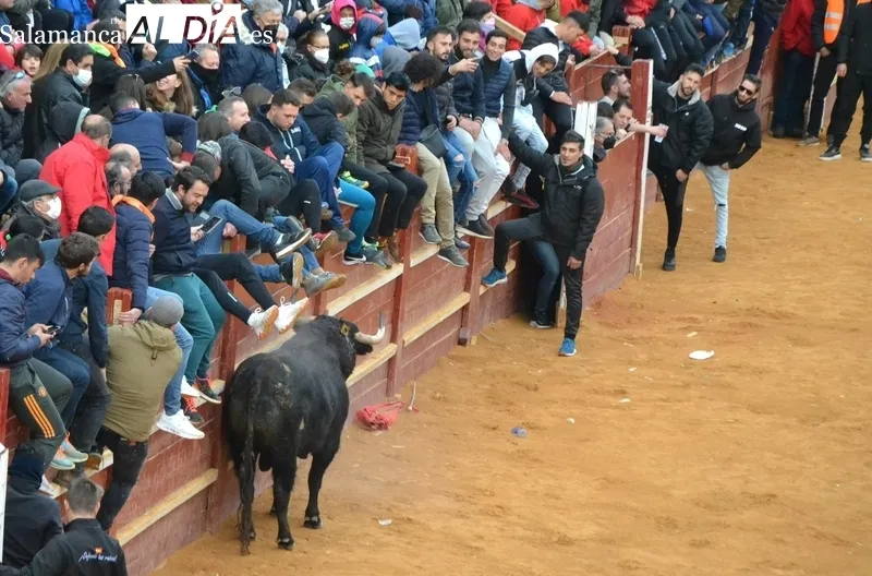 Foto 11 - El Toro del Aguardiente realiza varias idas y venidas tras salir del Registro 20 a&ntilde;os despu&eacute;s